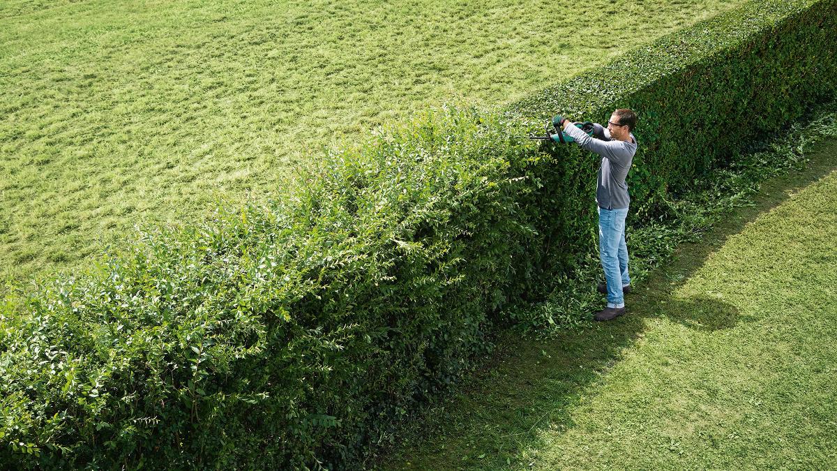 Safety Tips Every Homeowner Should Know for Hedge Trimming