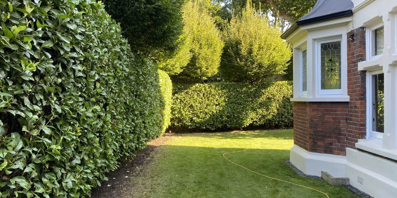 Best Time to Trim Hedges: Seasonal Guide for Optimal Growth