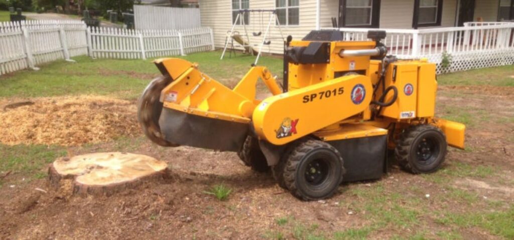 grind tree stumps