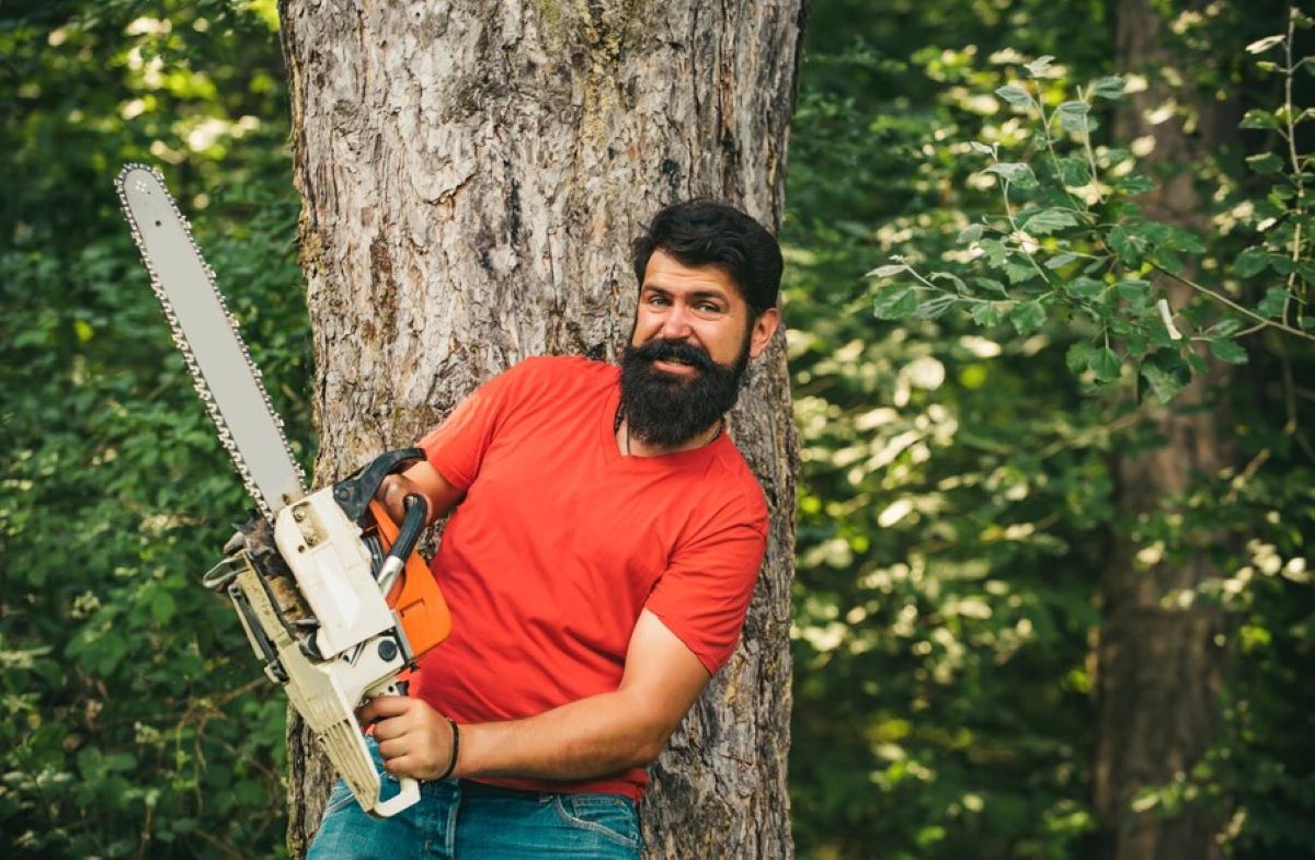 Arborist Hunters Hill how to maintain mature trees and prevent overwatering