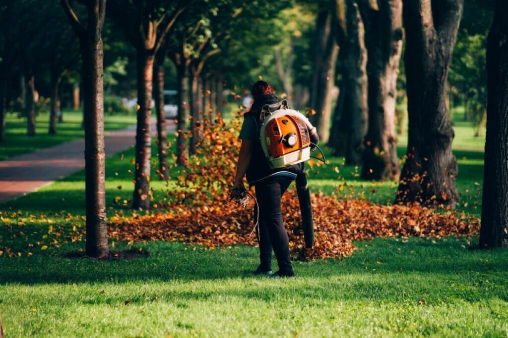 sydney arborist
