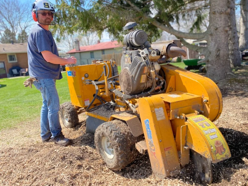 Is Professional Hedge Cutting Better Than DIY?